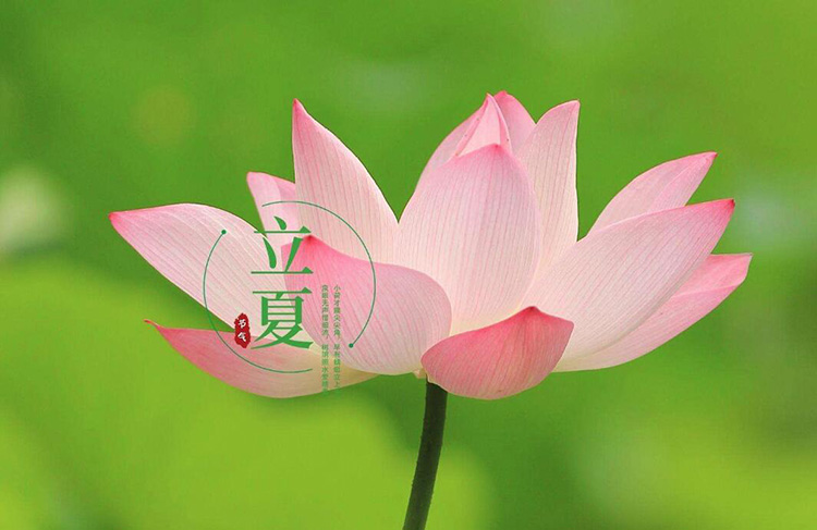 恩博士书包,门徒娱乐
箱包,包包生产厂家,广东门徒娱乐
科技